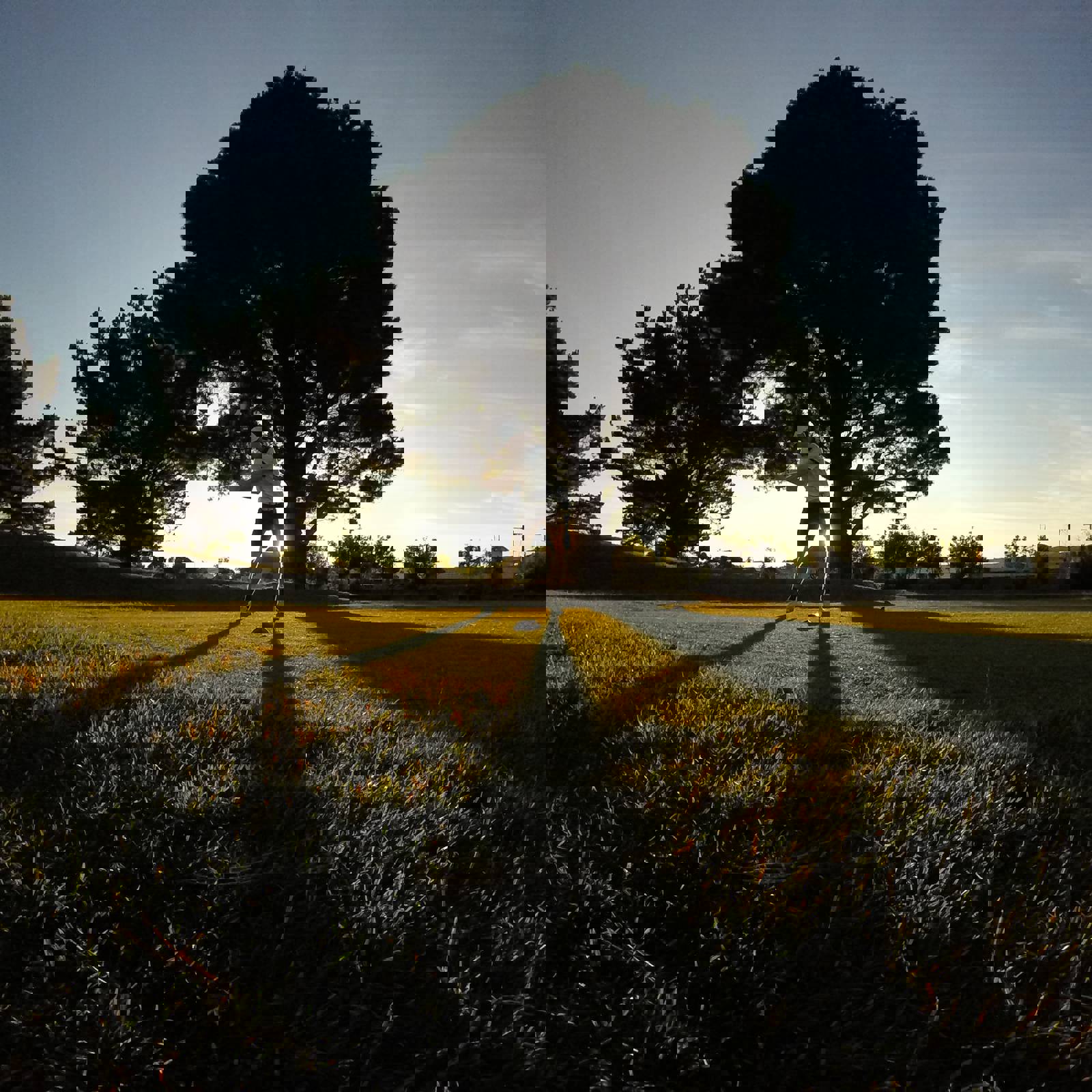 David Goldsbury Mem6qupdwzc Unsplash