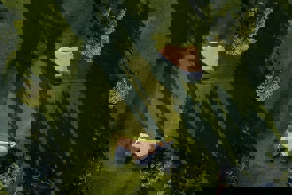 Bibendum Pharetra Euismod