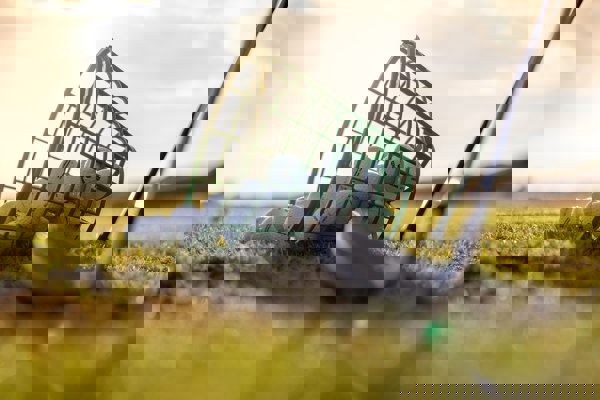 Nya bollar på rangen