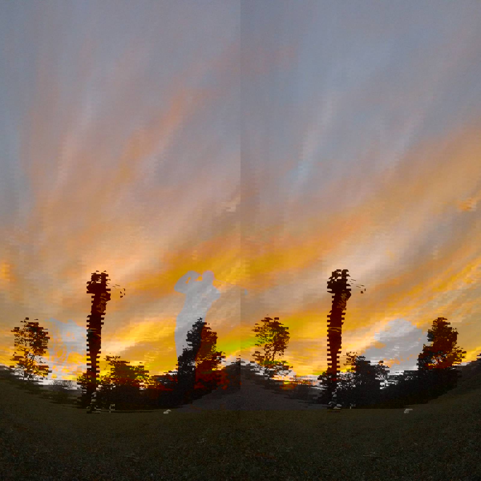 David Goldsbury Mdn3fphhobq Unsplash