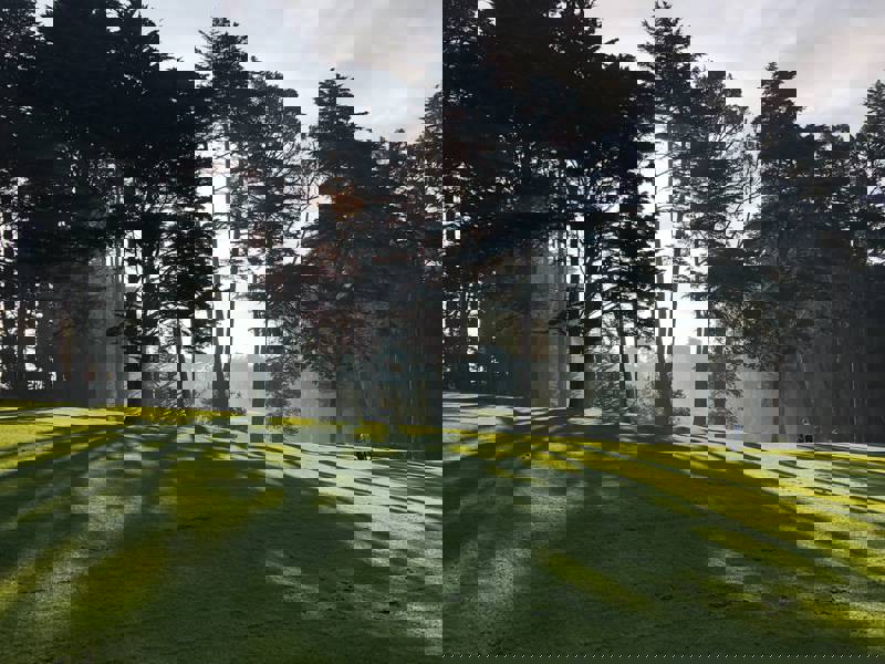 Nibh pellentesque dolor lorem