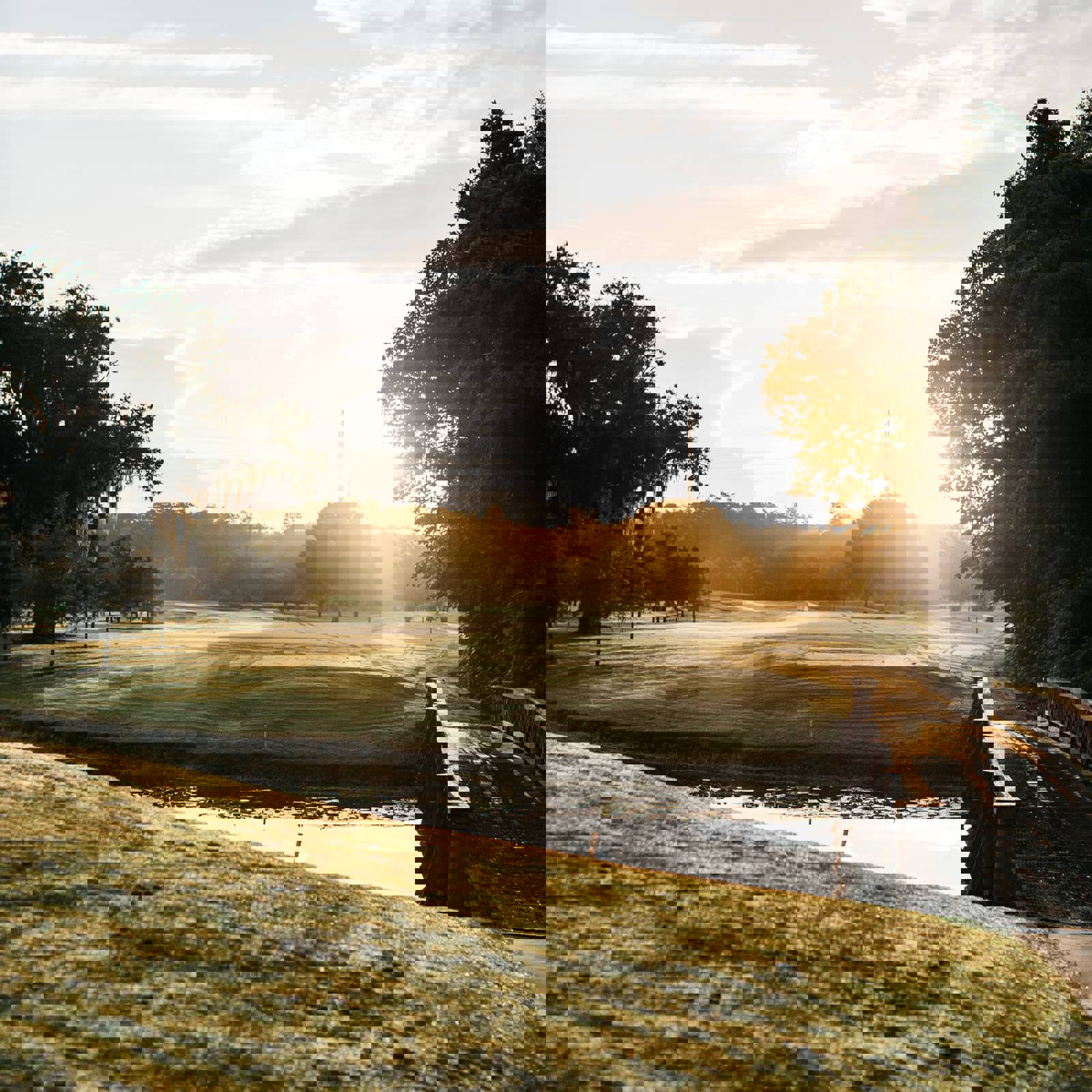 Brandon Williams Zyorx1yhfm0 Unsplash