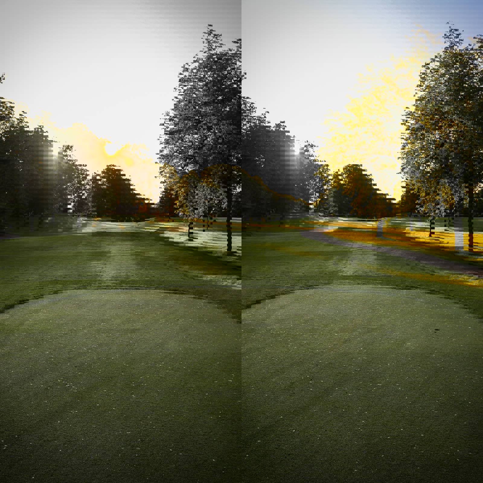 Dean Sugezqkejno Unsplash